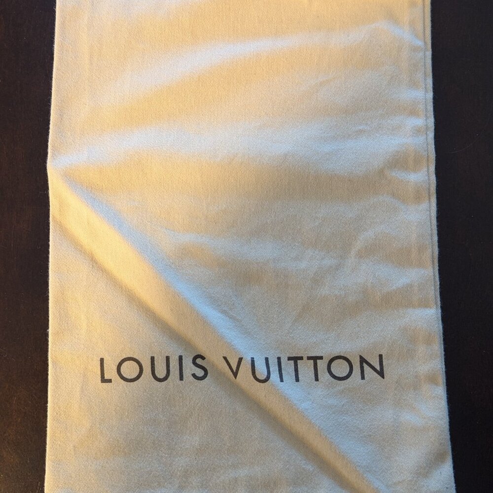 Louis Vuitton Carry Bag